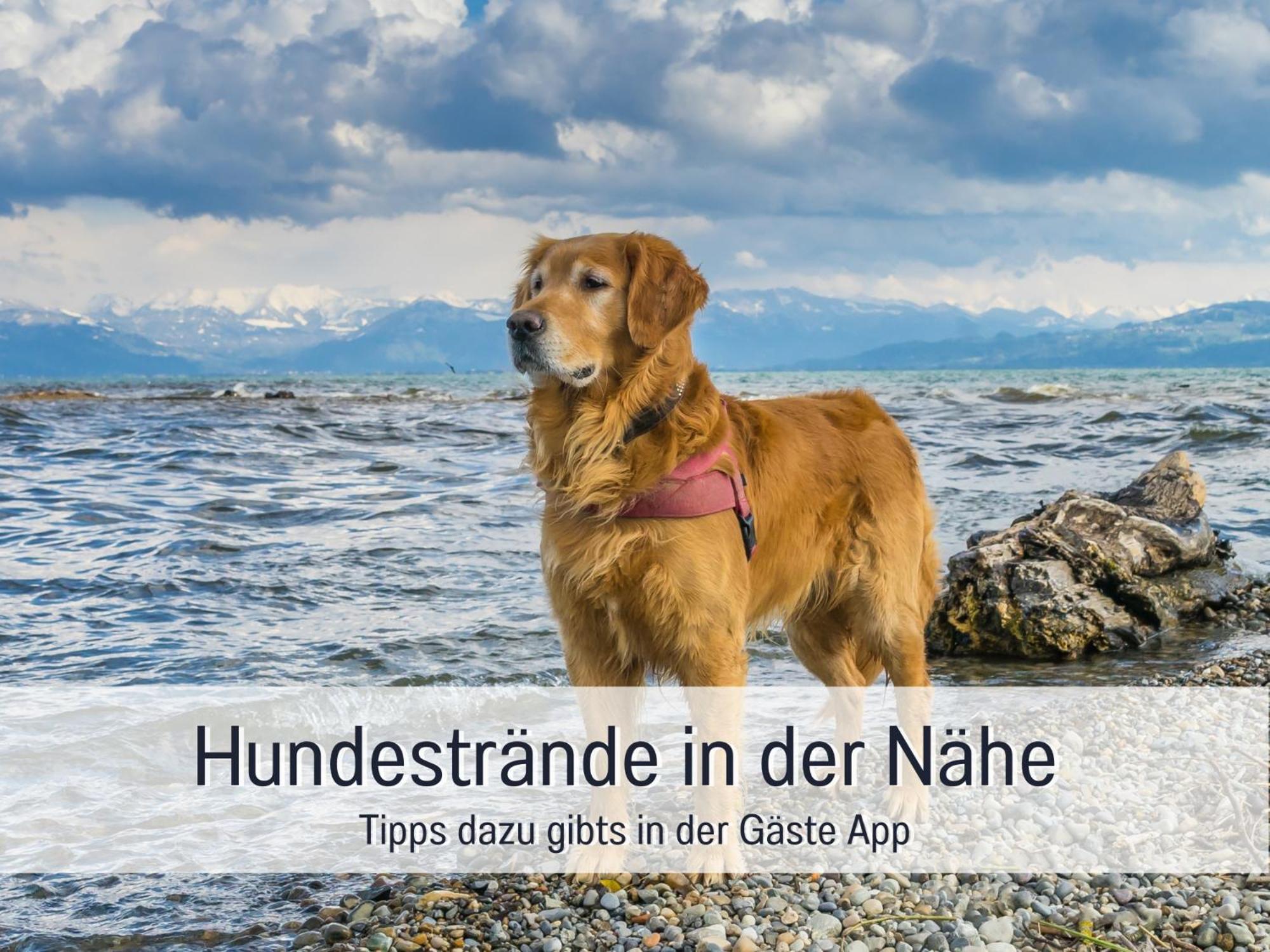 Sonnenterrasse - 3 Schlafzimmer, Whirlpool & Alpenblick - Perfekt Fuer Romantik Oder Familienurlaub Mit Kind , Hund Willkommen By Ferienwohnenamsee - Uberlingen Exterior photo